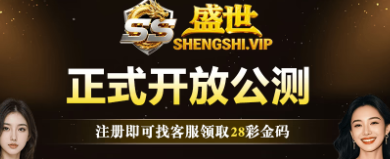 盛世国际